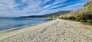 Οικόπεδο 545 τ.μ. για πώληση, Εύβοια, Μαρμάρι-thumb-3