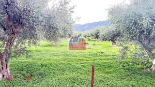 Οικόπεδο 4.749 τ.μ. προς πώληση, Κέντρο Αιγίου-thumb-11