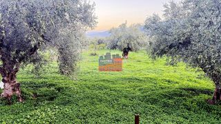 Οικόπεδο 4.749 τ.μ. προς πώληση, Κέντρο Αιγίου-thumb-12