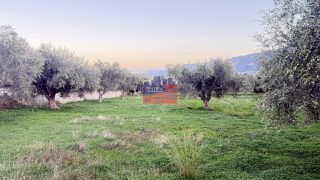 Οικόπεδο 4.749 τ.μ. προς πώληση, Κέντρο Αιγίου-thumb-14