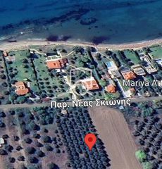 Αγροτεμάχια 4.200 τ.μ. για πώληση