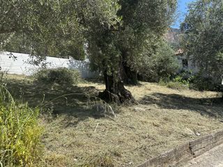 Οικόπεδο 214 τ.μ. για πώληση, Αρκαδία, Λεωνίδιο-thumb-10