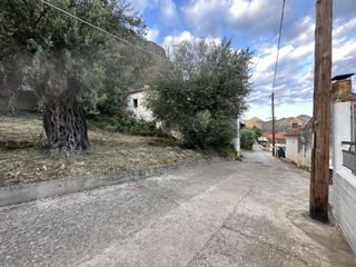 Οικόπεδο 214 τ.μ. για πώληση, Αρκαδία, Λεωνίδιο-thumb-12