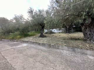 Οικόπεδο 214 τ.μ. για πώληση, Αρκαδία, Λεωνίδιο-thumb-13