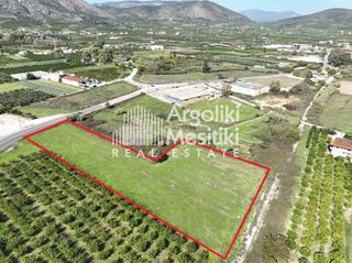 Αγροτεμάχια 6.000 τ.μ. για πώληση