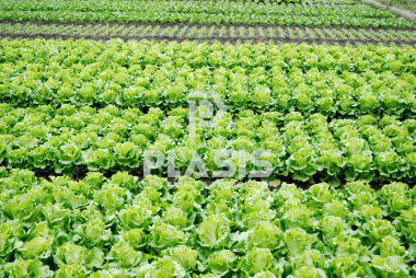 Parcel 1.024,18sqm for sale-Marathonas