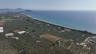 Αγροτεμάχια 10.122 τ.μ. για πώληση, Μεσσηνία, Πύλος-thumb-7