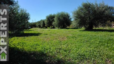 Οικόπεδο 312 τ.μ. πρός πώληση