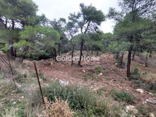 Οικόπεδο 2.016 τ.μ. για πώληση