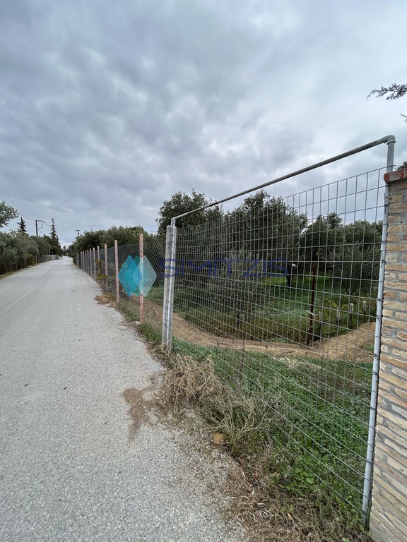 Οικόπεδο 3.000 τ.μ. προς πώληση, Άγιος Νικόλαος Ληλαντίου