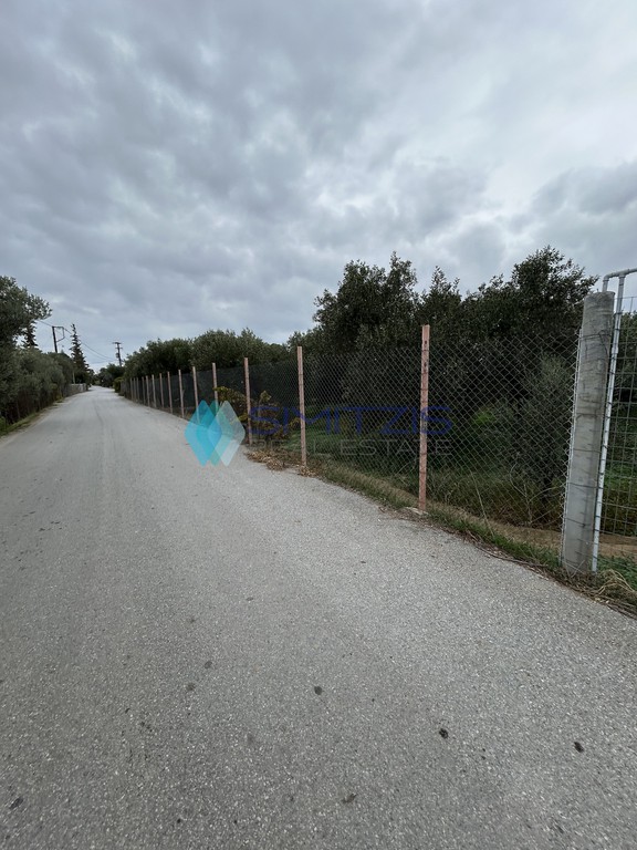 Οικόπεδο 3.000 τ.μ. προς πώληση, Άγιος Νικόλαος Ληλαντίου
