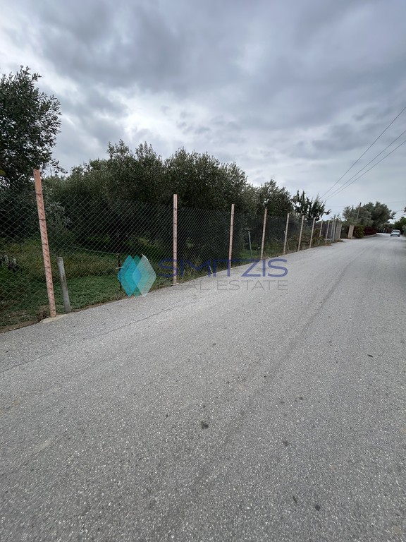 Οικόπεδο 3.000 τ.μ. προς πώληση, Άγιος Νικόλαος Ληλαντίου