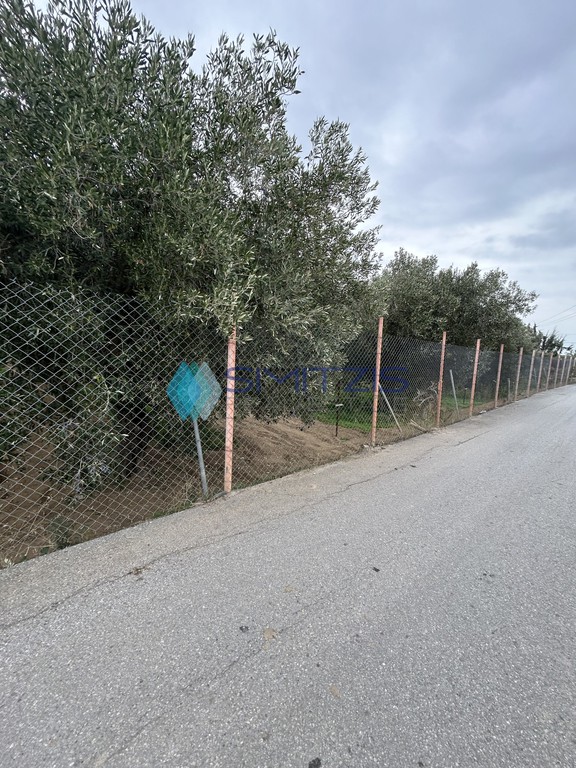 Οικόπεδο 3.000 τ.μ. προς πώληση, Άγιος Νικόλαος Ληλαντίου