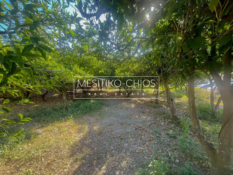 Οικόπεδο 697,44 τ.μ. προς πώληση, Πόλη Χίου