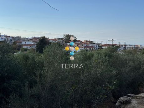 Οικόπεδο 983τ.μ. για πώληση-Γεροπόταμος