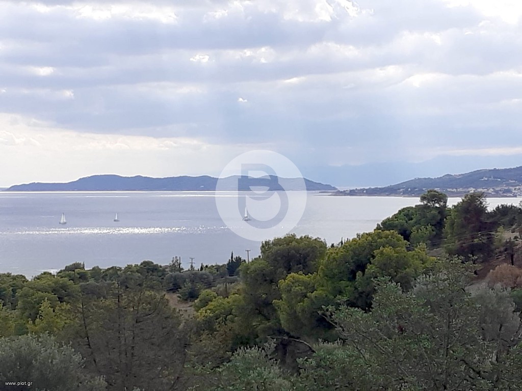 Βίλλα 219 τ.μ. προς πώληση, Αργολίδα, Κρανίδι