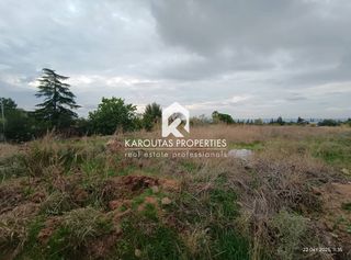 Αγροτεμάχια 4.500 τ.μ. για πώληση