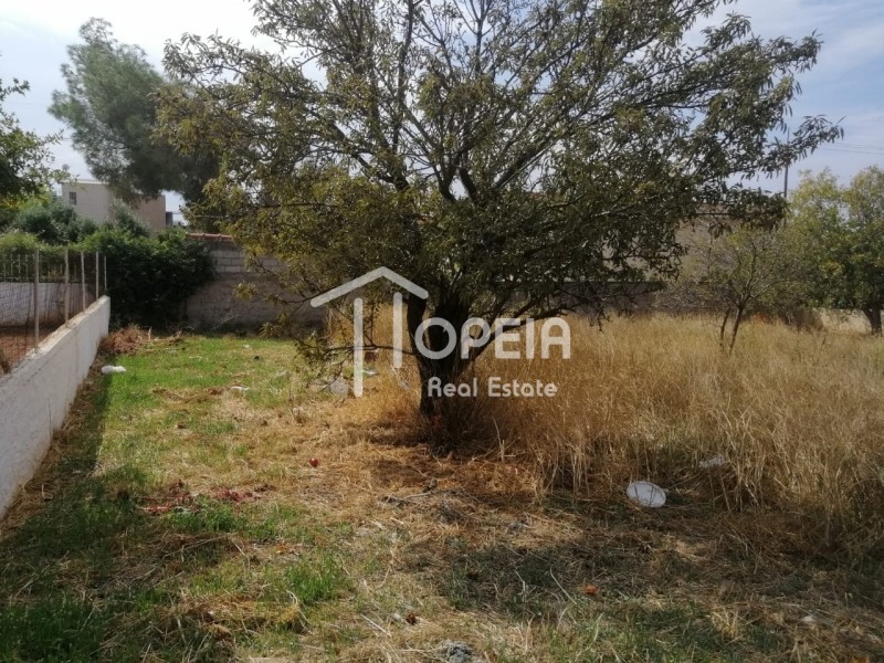 Οικόπεδο 470 τ.μ. πρός πώληση, Αττική - Υπόλοιπο, Καλύβια Θορικού