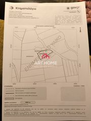 Αγροτεμάχια 13.034 τ.μ. για πώληση