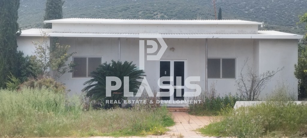 Αγροτεμάχια 22.247 τ.μ. προς ενοικίαση, Αθήνα - Ανατολικά Προάστια, Μαραθώνας
