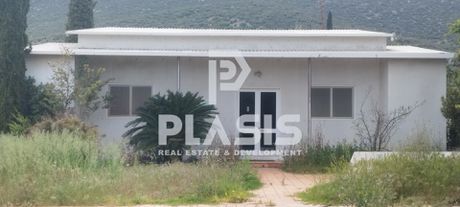 Αγροτεμάχια 2.224.702τ.μ. για ενοικίαση-Μαραθώνας