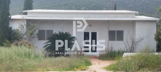Αγροτεμάχια 22.247 τ.μ. για ενοικίαση