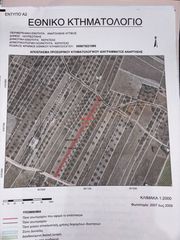 Αγροτεμάχια 1.300 τ.μ. για πώληση