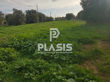 Οικόπεδο 7.000τ.μ. για πώληση-Μαραθώνας