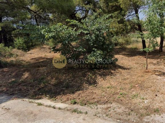 Οικόπεδο 7.600 τ.μ. προς πώληση