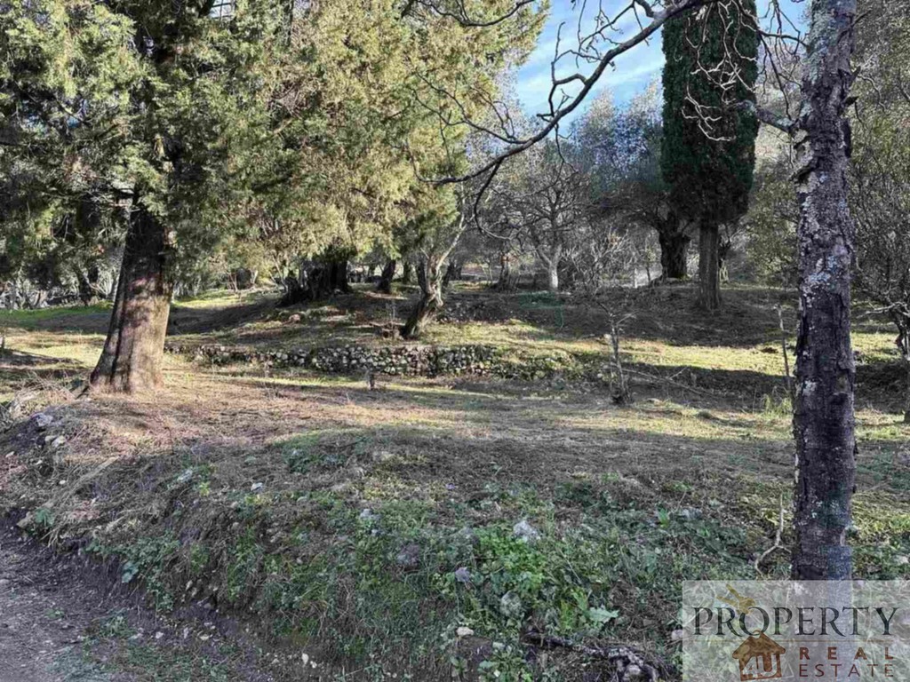 Οικόπεδο 3.315 τ.μ. πρός πώληση, Ν. Κέρκυρας, Κέρκυρα