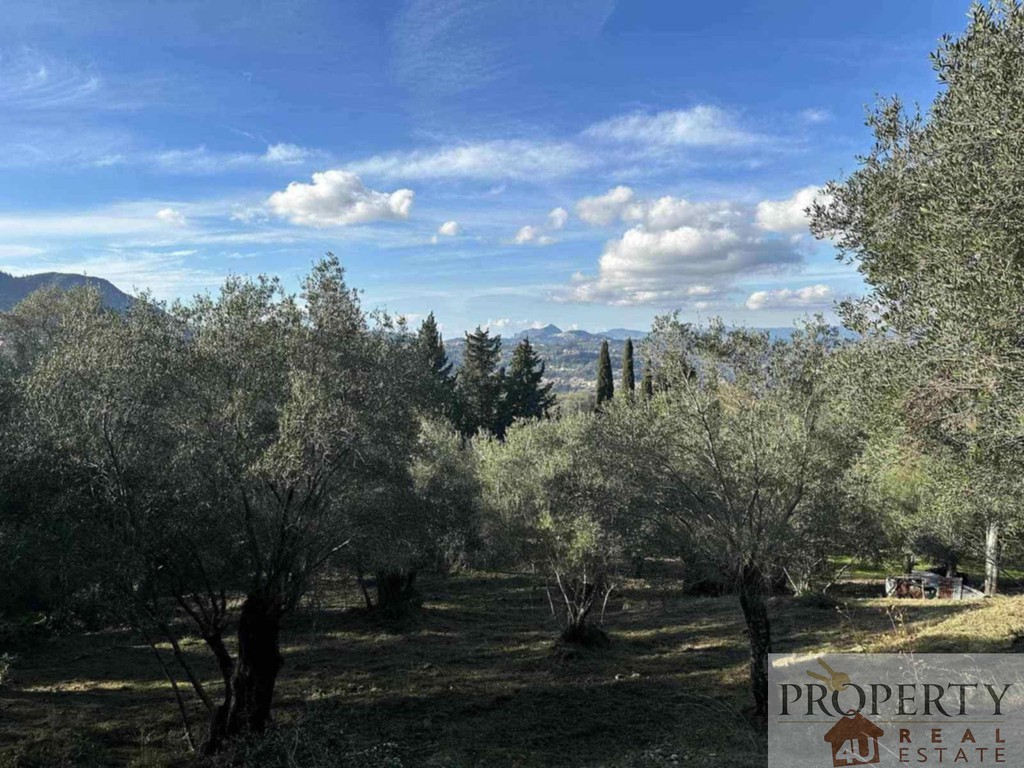 Οικόπεδο 3.315 τ.μ. πρός πώληση, Ν. Κέρκυρας, Κέρκυρα
