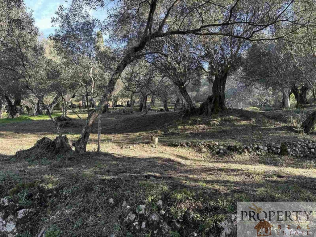 Οικόπεδο 3.315 τ.μ. πρός πώληση, Ν. Κέρκυρας, Κέρκυρα