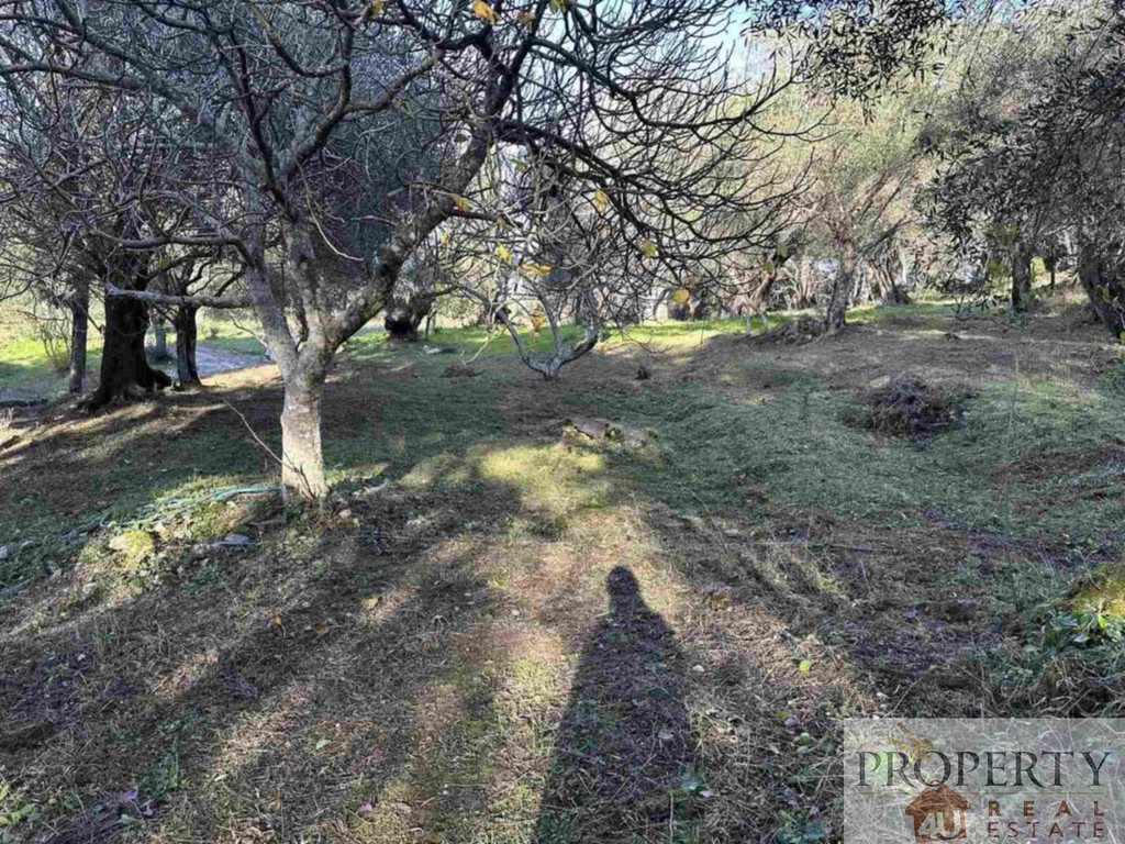 Οικόπεδο 3.315 τ.μ. πρός πώληση, Ν. Κέρκυρας, Κέρκυρα