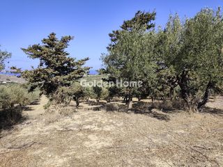 Οικόπεδο 5.389 τ.μ. για πώληση