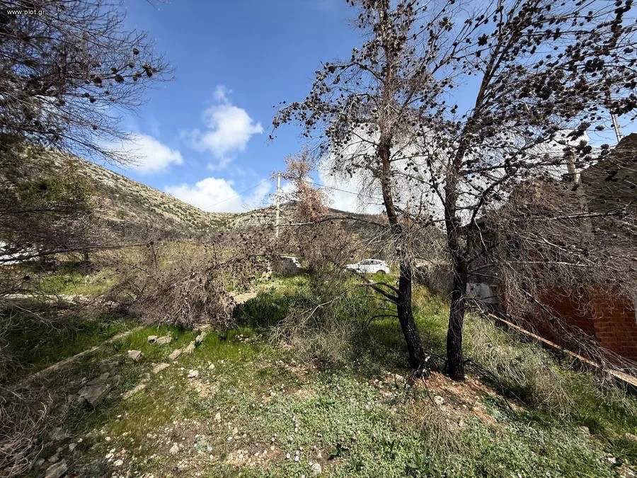 Αγροτεμάχια 245 τ.μ. πρός πώληση, Αττική - Υπόλοιπο, Μέγαρα
