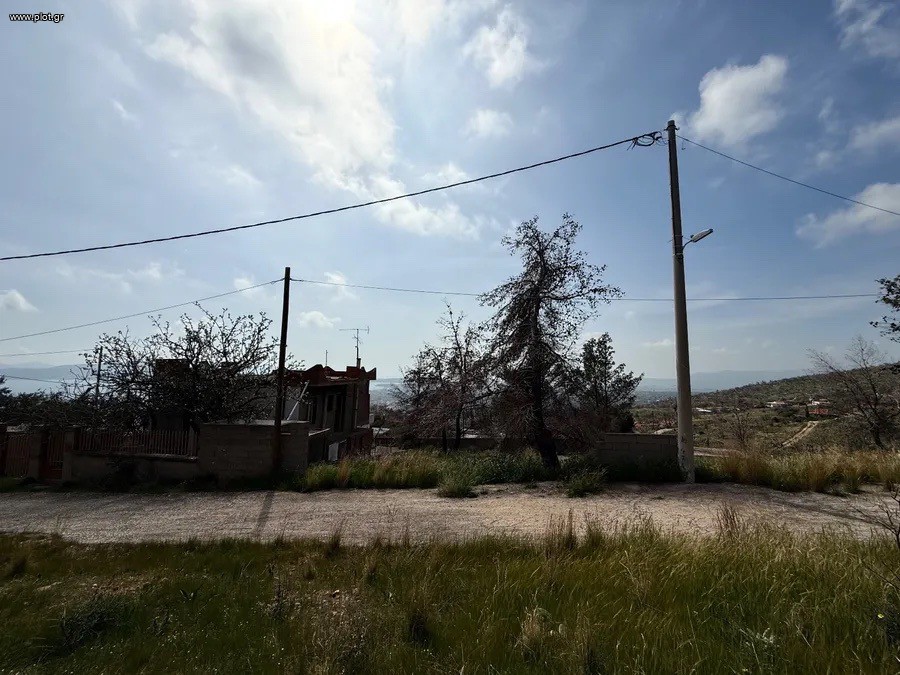 Αγροτεμάχια 245 τ.μ. πρός πώληση, Αττική - Υπόλοιπο, Μέγαρα