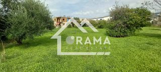 Αγροτεμάχια 2.684 τ.μ. για πώληση