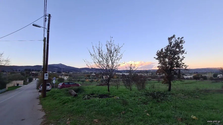 Οικόπεδο 11.000 τ.μ. προς πώληση, Κοσμοθέα