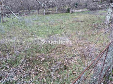 Land plot 1.051sqm for sale-Anthidonos » Skroponeria