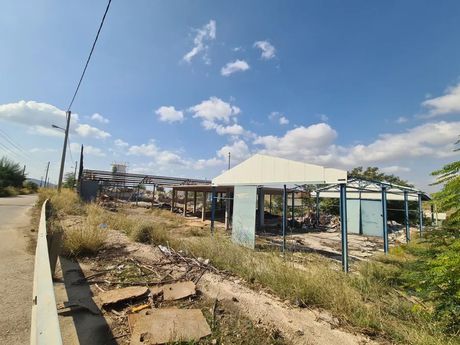 Land plot 8.000 sqm for sale
