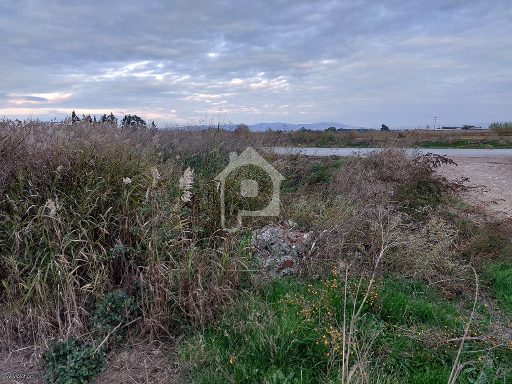 Αγροτεμάχια 5.000 τ.μ. προς ενοικίαση, Θεσσαλονίκη - Υπόλ. Νομού, Άγιος Αθανάσιος