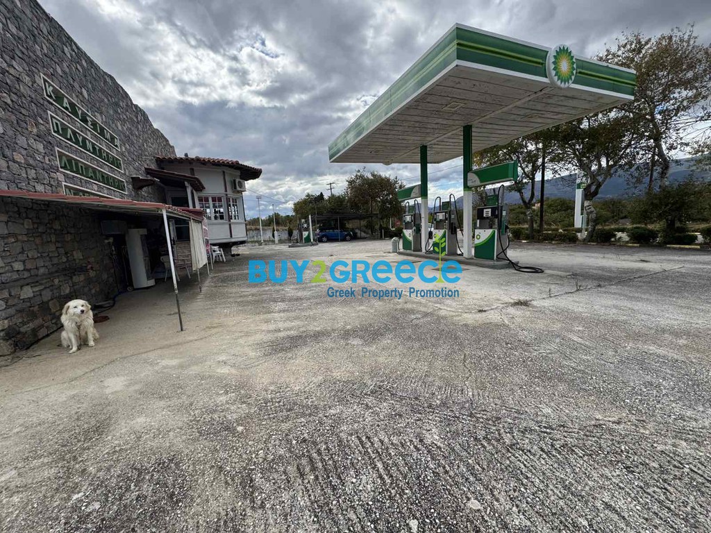 Οικόπεδο 2.400 τ.μ. προς πώληση, Οξύλιθος