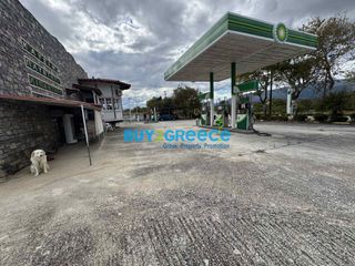 Οικόπεδο 2.400 τ.μ. για πώληση, Εύβοια, Κύμη-thumb-4