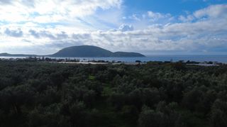 Οικόπεδο 9.230 τ.μ. για πώληση