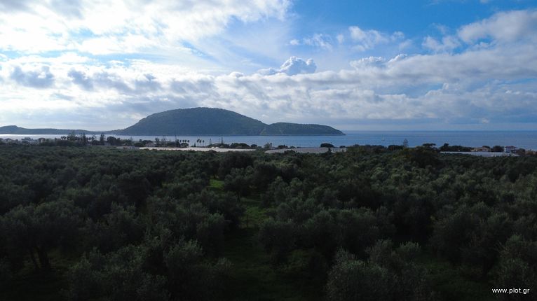 Land plot 9.230 sqm for sale, Messinia, Gargalianoi