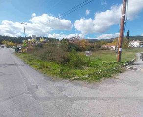 Οικόπεδο 762 τ.μ. για πώληση, Αρκαδία, Τρίπολη-thumb-1