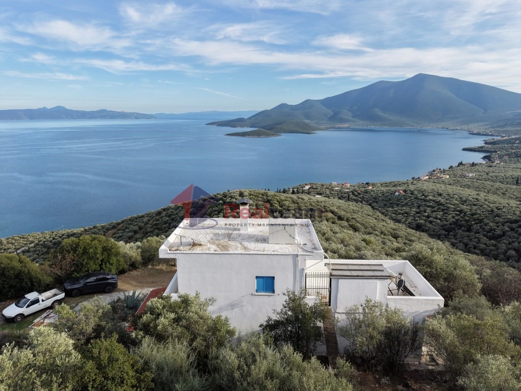 Μονοκατοικία 123 τ.μ. πρός πώληση, Μαγνησία, Σούρπη