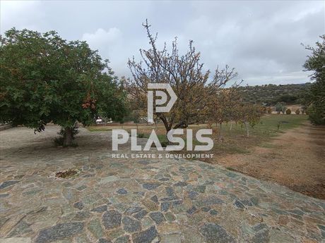 Βίλλα 450τ.μ. για ενοικίαση-Κορωπί