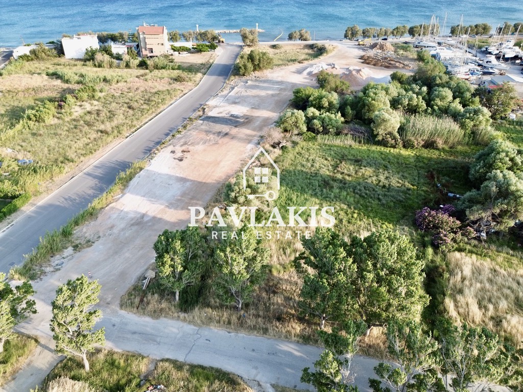 Οικόπεδο 6.479 τ.μ. πρός πώληση, Εύβοια, Κάρυστος