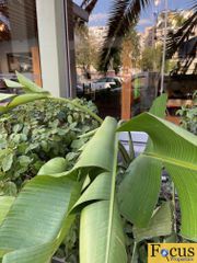 Επιχείρηση 364 τ.μ. για πώληση